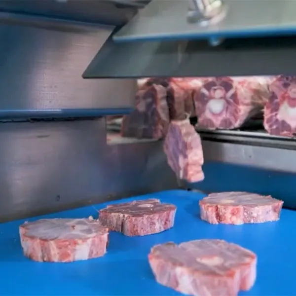 Serras fita para carnes e ossos
