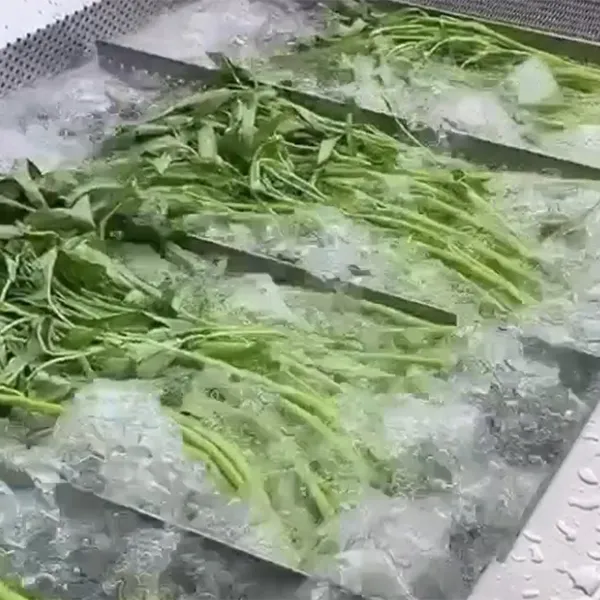 Lavadoras de vegetais