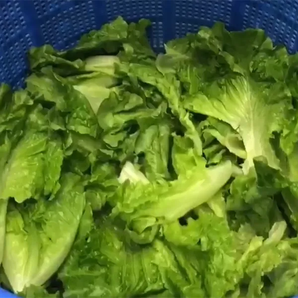 Centrífugas de alimentos