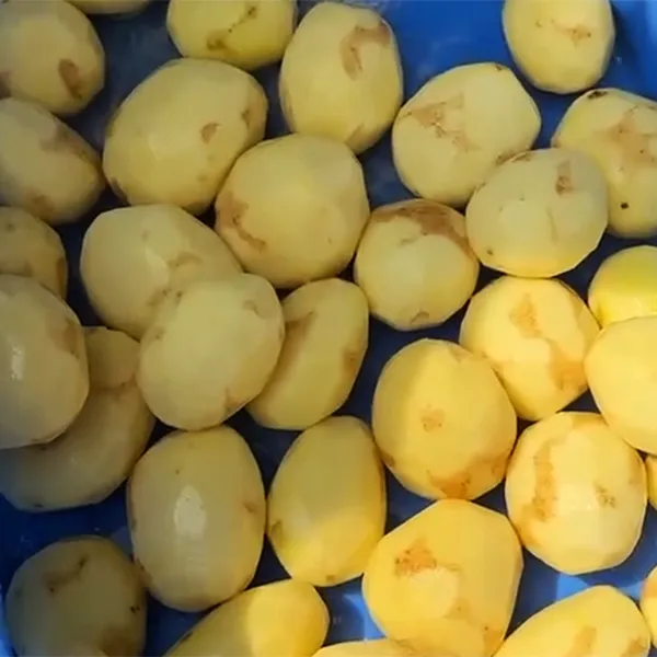 Descascadoras de legumes e frutas
