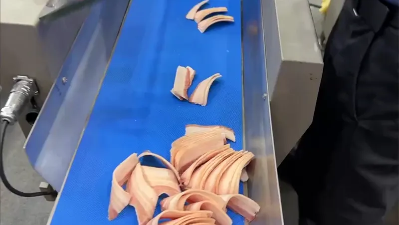 Fatiadora de carne congelada, DRB-21KC