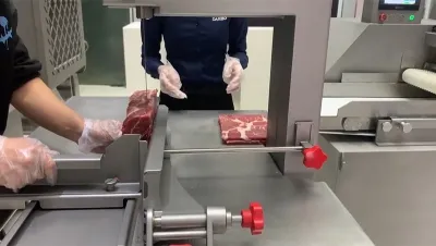 Serra fita para carne, DRB-JG330