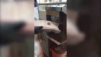 Processadora de pescados congelados, DRB-YM450