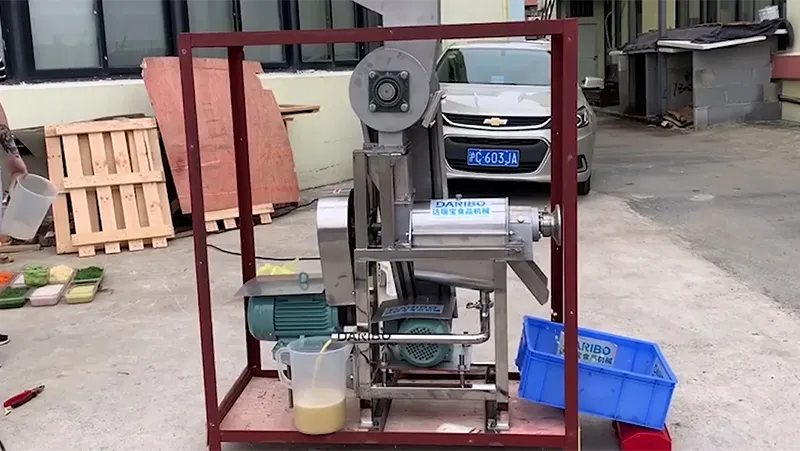 Triturador e extrator de suco de frutas, DRB-PZ0.5T