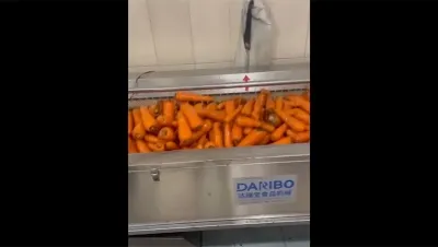Lavadora de vegetais com escova, DRB-MG1500