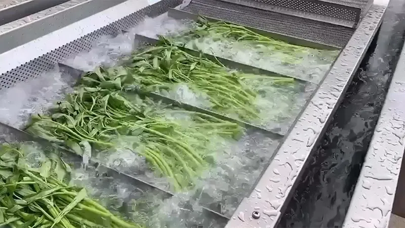 Lavadora de vegetais por borbulhamento com esteira, DRB-QX3000