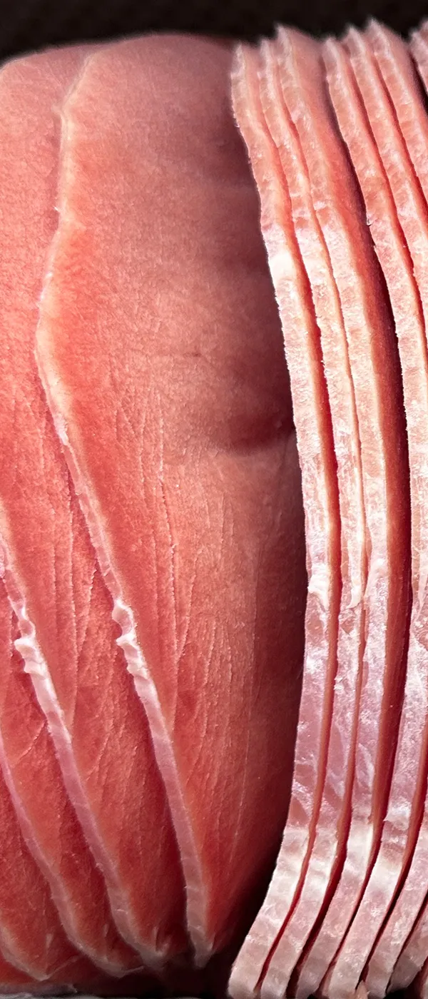 Fatiadora de carne congelada (espessura de 1-36mm)