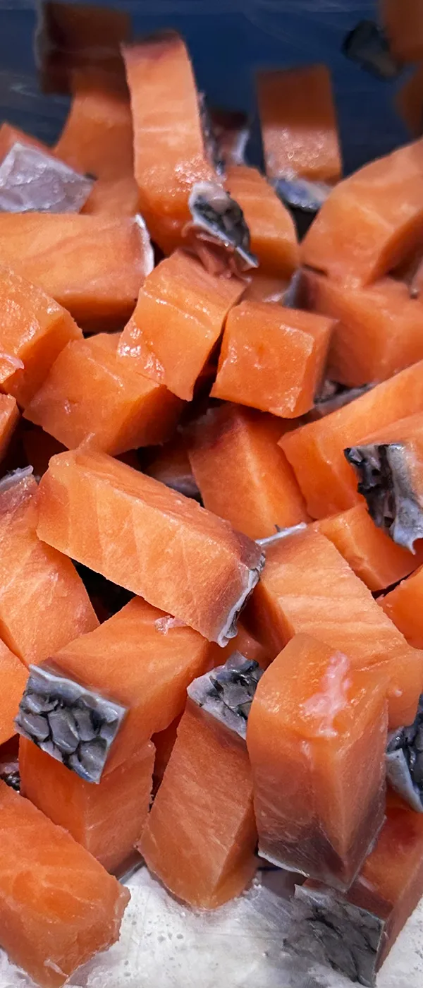 Cubetadeira de carne 2D (carne sem osso)