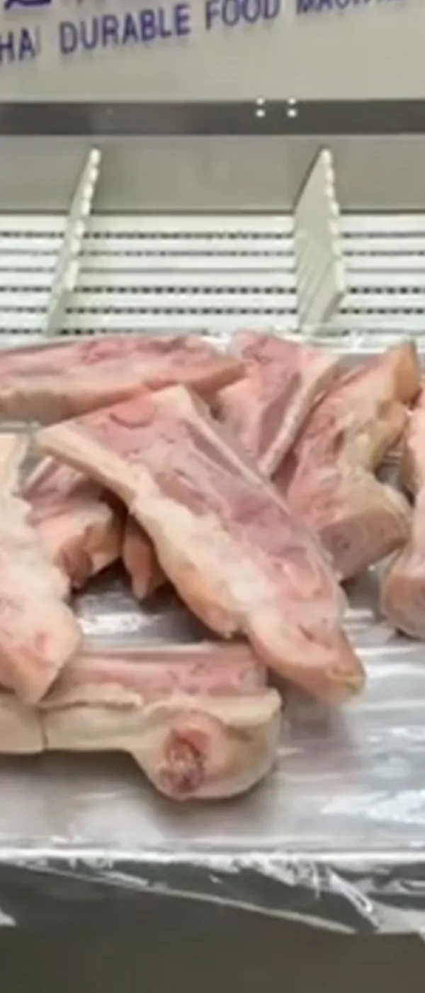 Serra fita para carne congelada (5 pedaços)