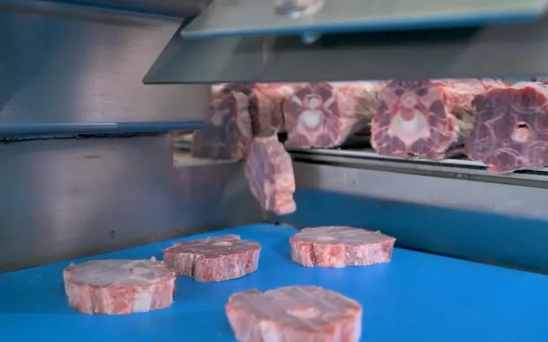 Serras fita para carnes e ossos