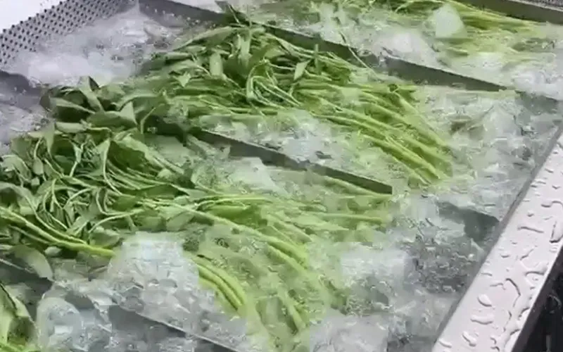 Lavadoras de vegetais
